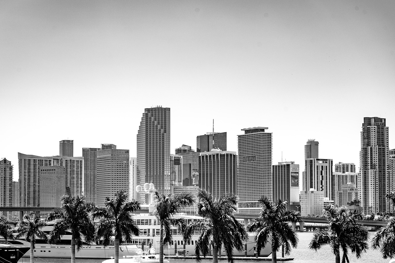 portrait woman creative professional